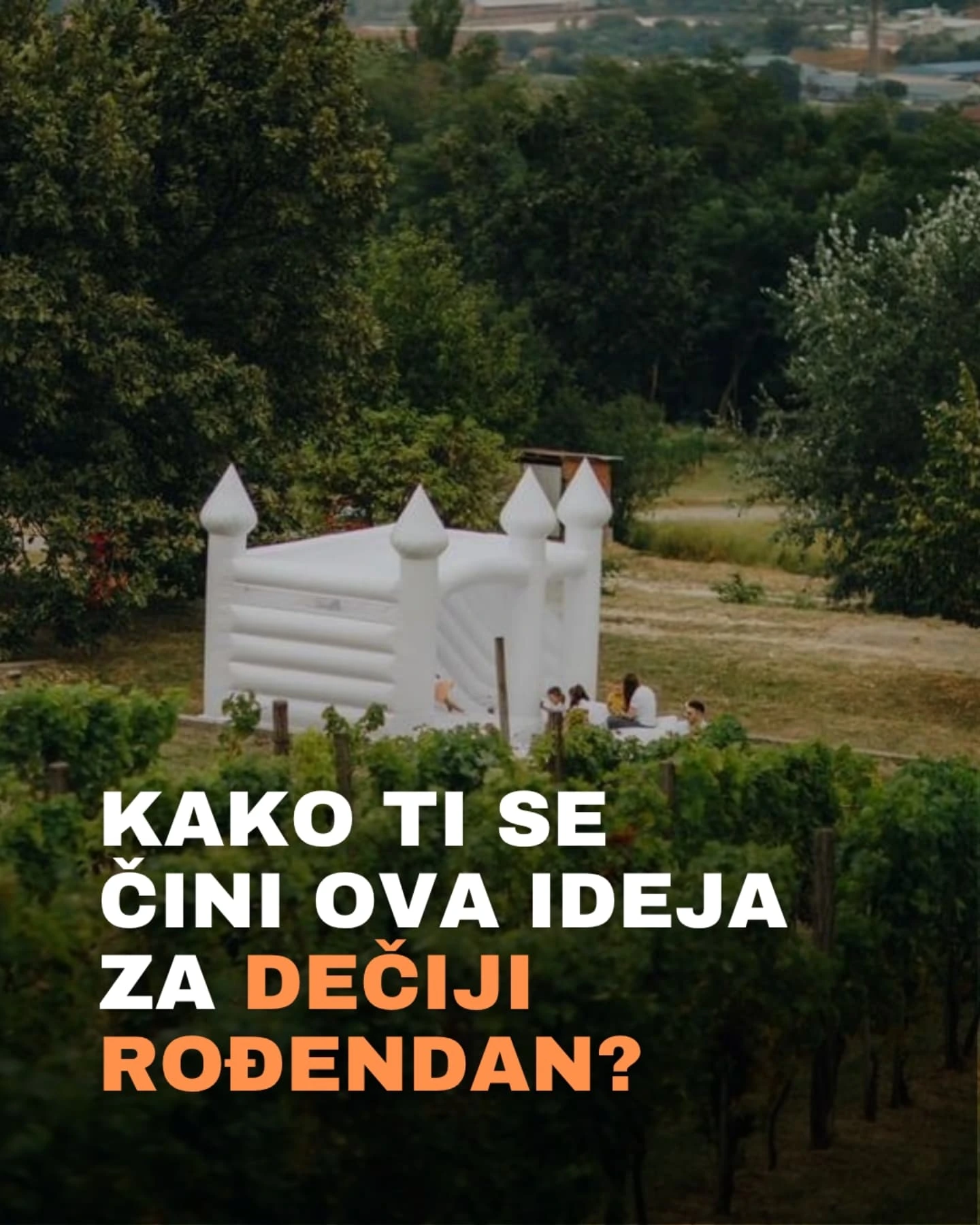 Beli dvorac u vinogradu